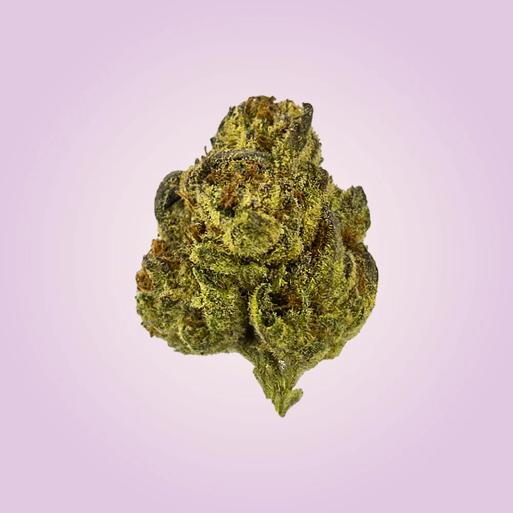 Premium Economy THCA Flower - Image 3